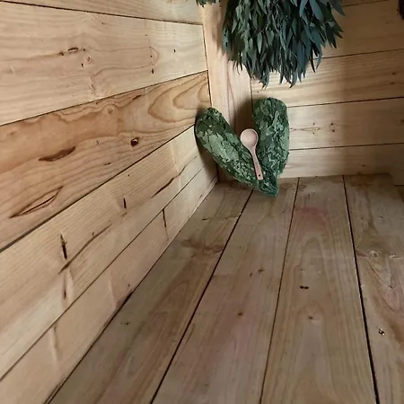 House With Sauna And Fireplace Holiday home *